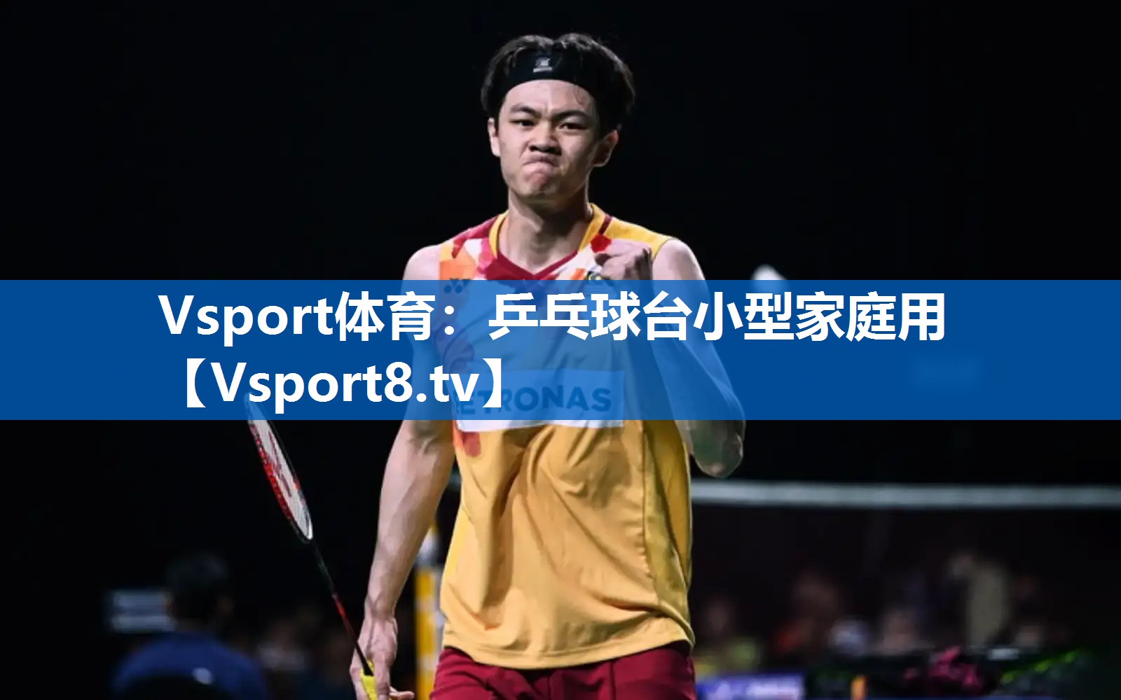 Vsport体育：乒乓球台小型家庭用