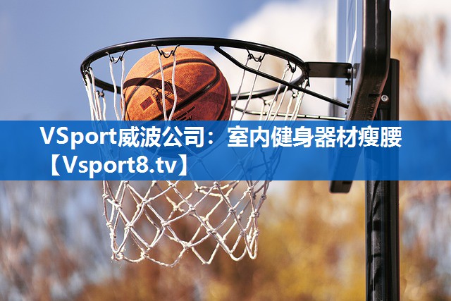 <strong>VSport威波公司：室内健身器材瘦腰</strong>