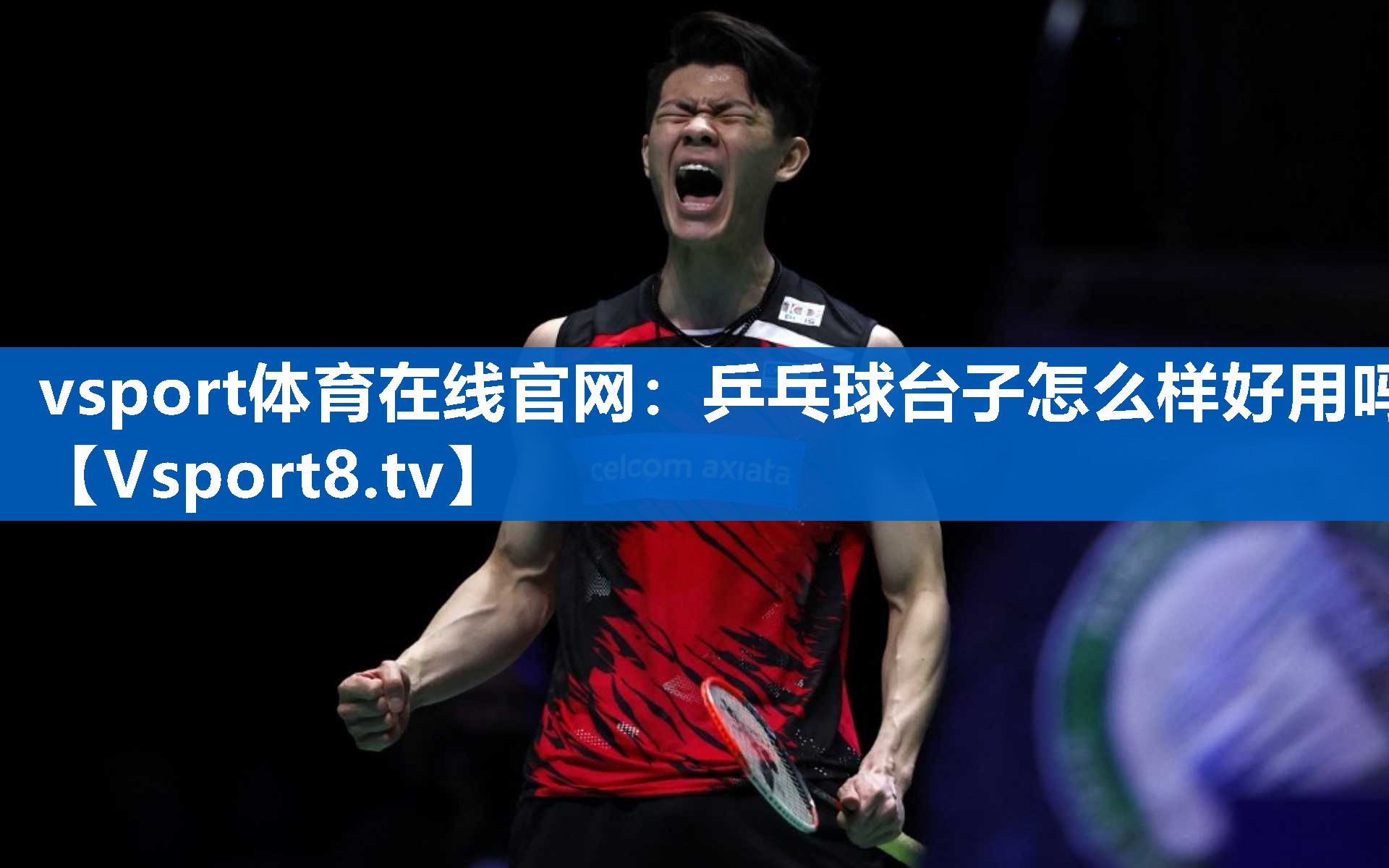 vsport体育在线官网：乒乓球台子怎么样好用吗