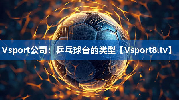 <strong>Vsport公司：乒乓球台的类型</strong>