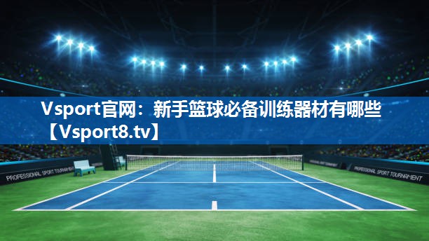 <strong>Vsport官网：新手篮球必备训练器材有哪些</strong>