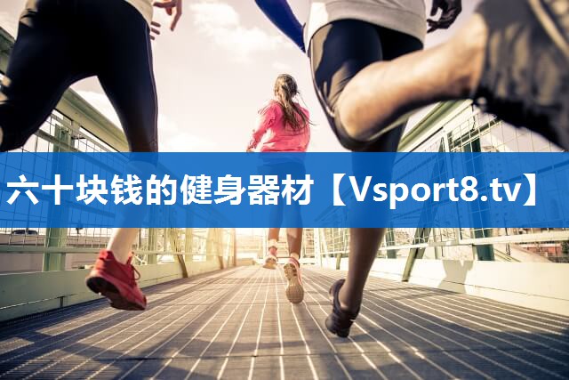 六十块钱的健身器材