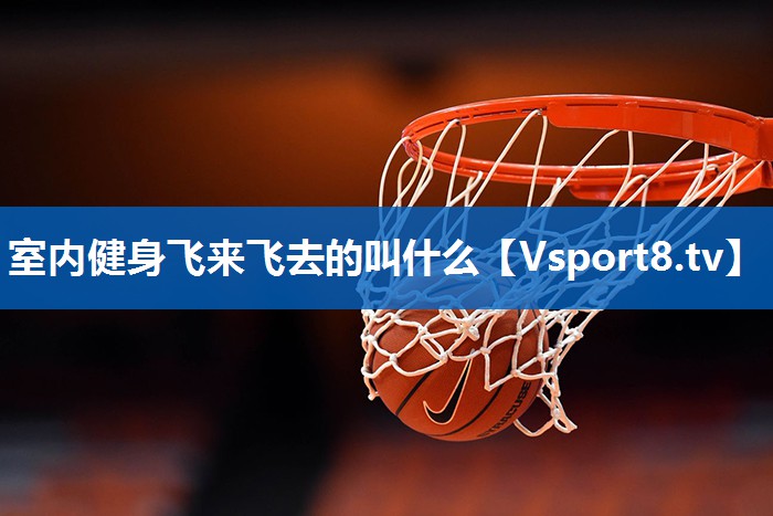 室内健身飞来飞去的叫什么