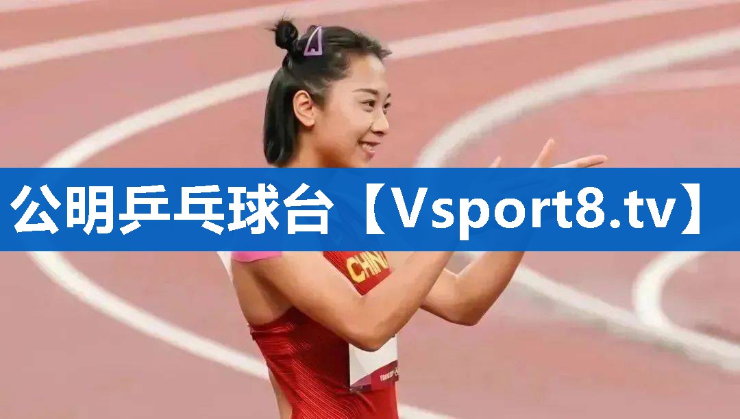 公明乒乓球台