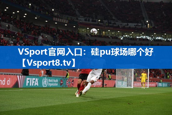 <strong>VSport官网入口：硅pu球场哪个好</strong>