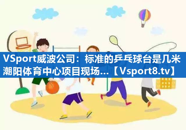 <strong>VSport威波公司：标准的乒乓球台是几米潮阳体育中心项目现场…</strong>