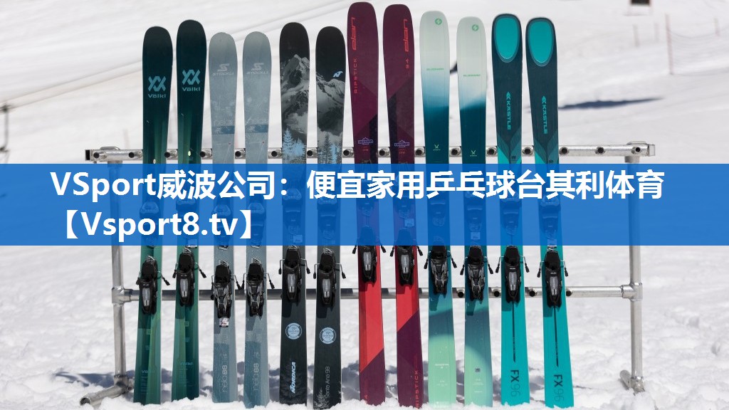 VSport威波公司：便宜家用乒乓球台其利体育
