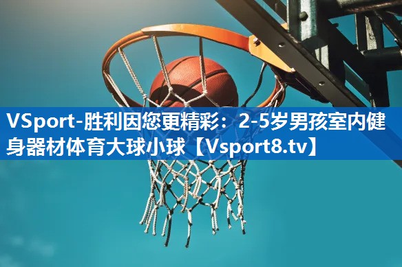 VSport-胜利因您更精彩：2-5岁男孩室内健身器材体育大球小球