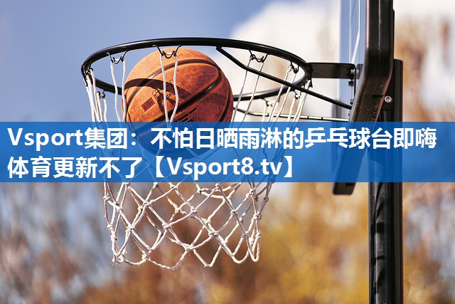 <strong>Vsport集团：不怕日晒雨淋的乒乓球台即嗨体育更新不了</strong>