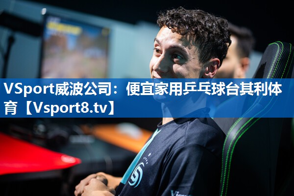 <strong>VSport威波公司：便宜家用乒乓球台其利体育</strong>