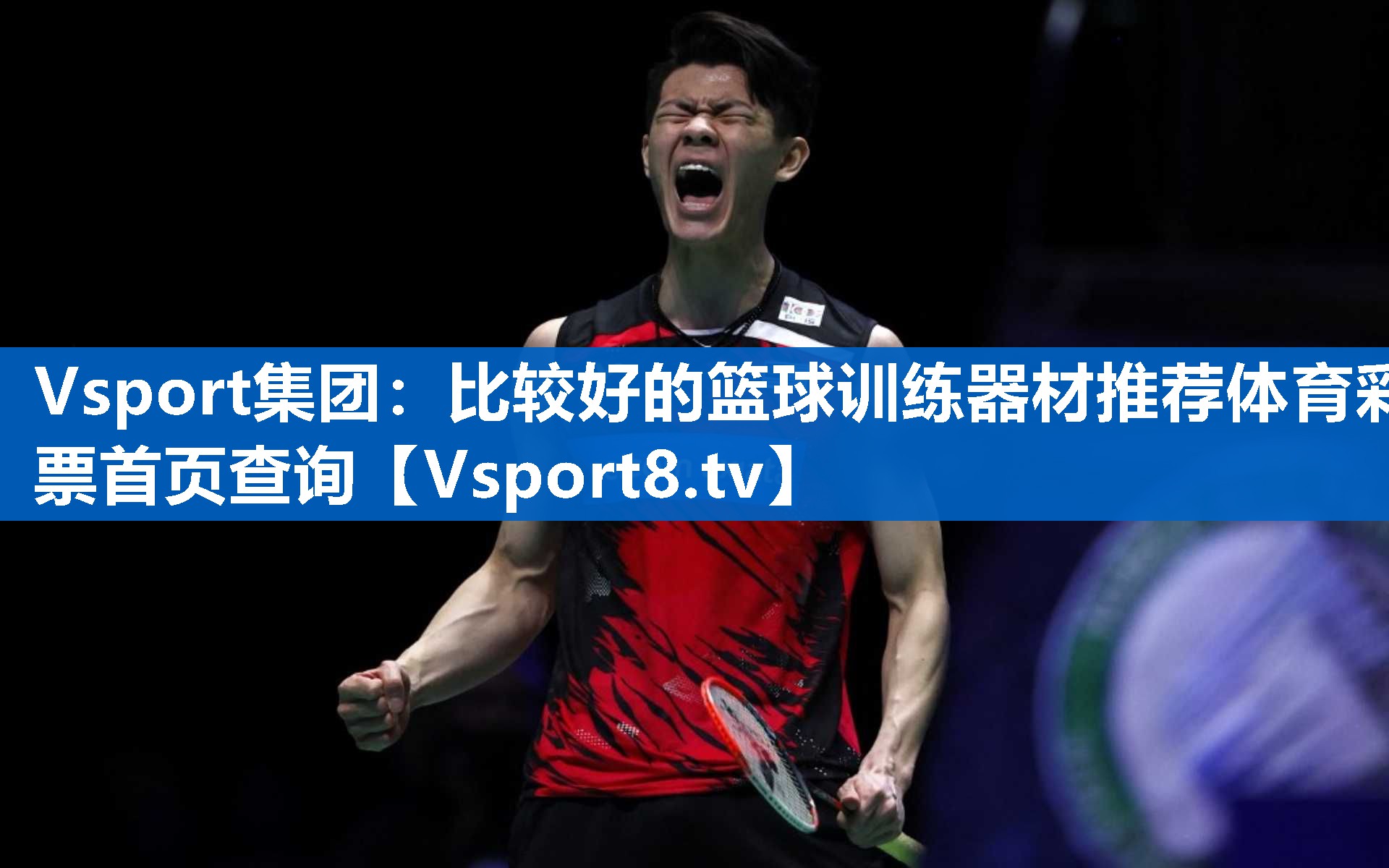 <strong>Vsport集团：比较好的篮球训练器材推荐体育彩票首页查询</strong>