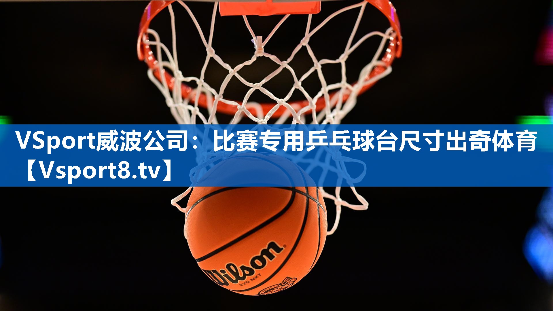 <strong>VSport威波公司：比赛专用乒乓球台尺寸出奇体育</strong>