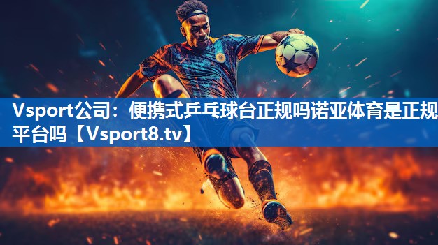 Vsport公司：便携式乒乓球台正规吗诺亚体育是正规平台吗