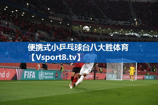 便携式小乒乓球台八大胜体育