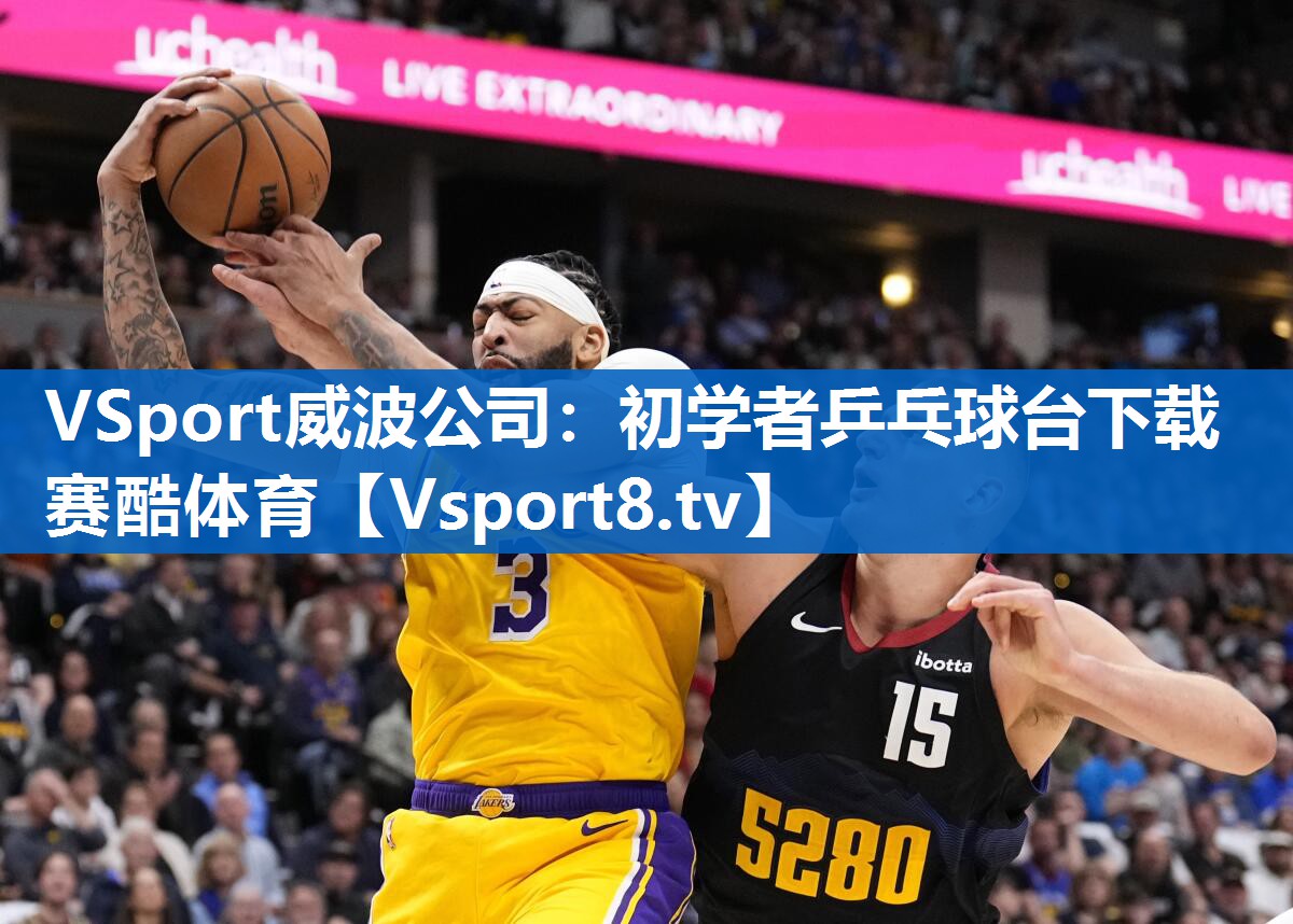 VSport威波公司：初学者乒乓球台下载赛酷体育
