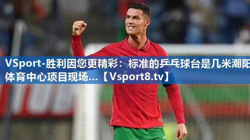 VSport-胜利因您更精彩：标准的乒乓球台是几米潮阳体育中心项目现场…