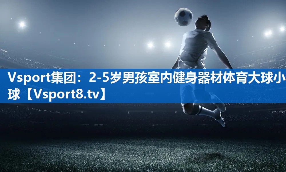 Vsport集团：2-5岁男孩室内健身器材体育大球小球