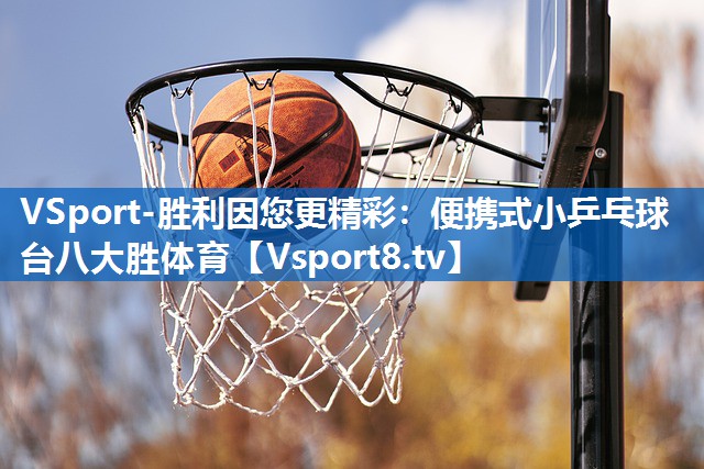 VSport-胜利因您更精彩：便携式小乒乓球台八大胜体育