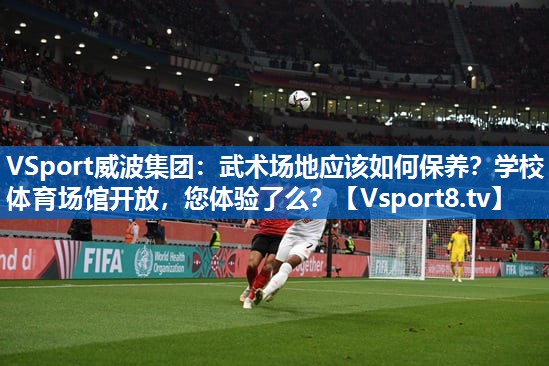 VSport威波集团：武术场地应该如何保养？学校体育场馆开放，您体验了么？
