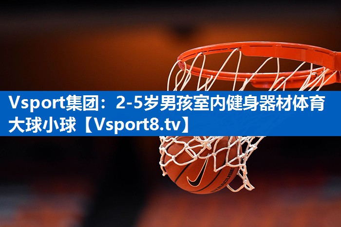 Vsport集团：2-5岁男孩室内健身器材体育大球小球