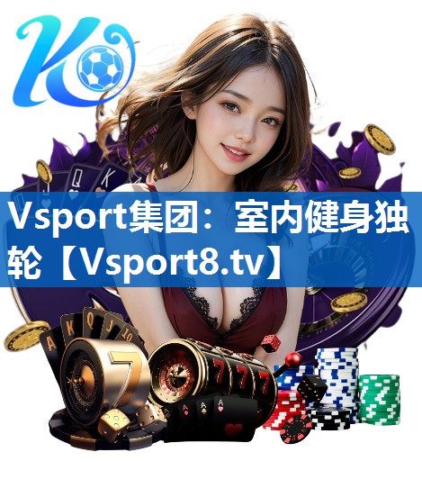 <strong>Vsport集团：室内健身独轮</strong>