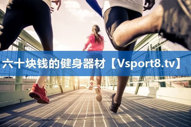 六十块钱的健身器材