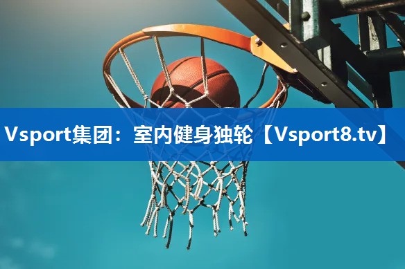 室内健身独轮