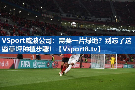 VSport威波公司：需要一片绿地？别忘了这些草坪种植步骤！