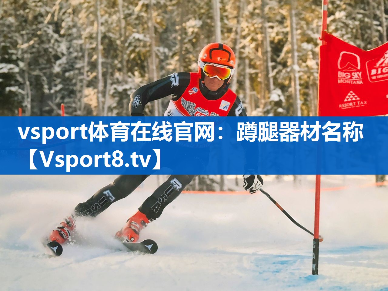 vsport体育在线官网：蹲腿器材名称