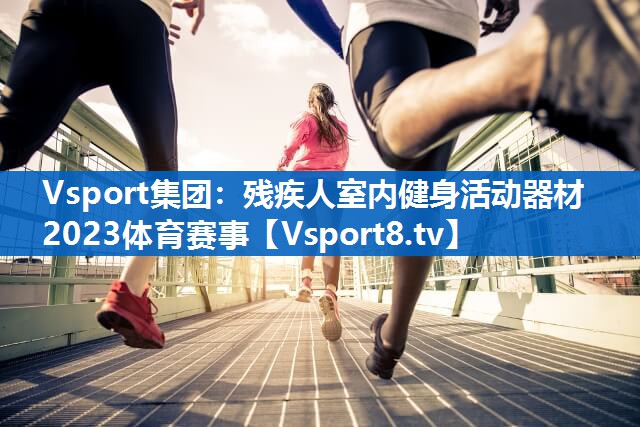 <strong>Vsport集团：残疾人室内健身活动器材2023体育赛事</strong>