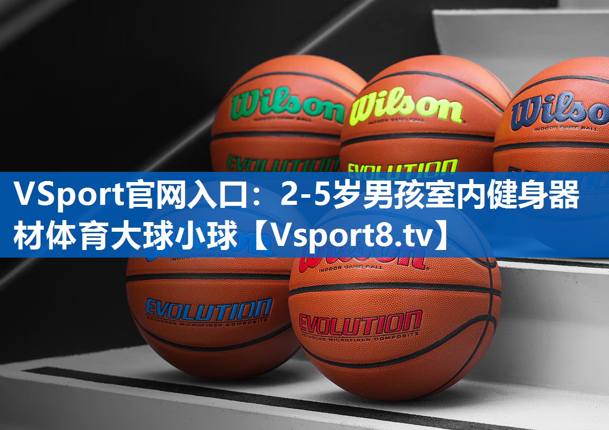 <strong>VSport官网入口：2-5岁男孩室内健身器材体育大球小球</strong>