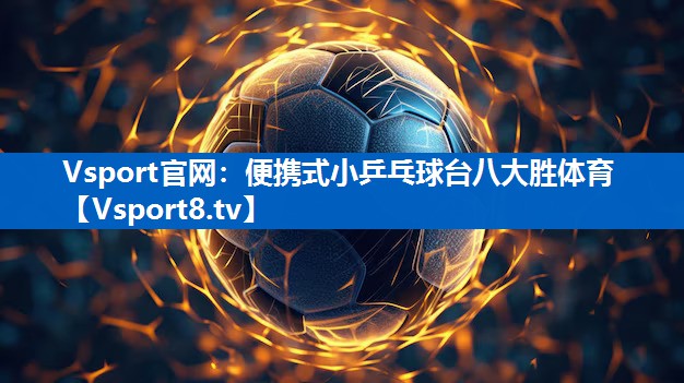 Vsport官网：便携式小乒乓球台八大胜体育