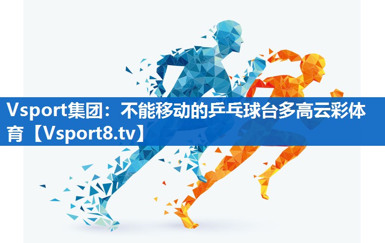 Vsport集团：不能移动的乒乓球台多高云彩体育