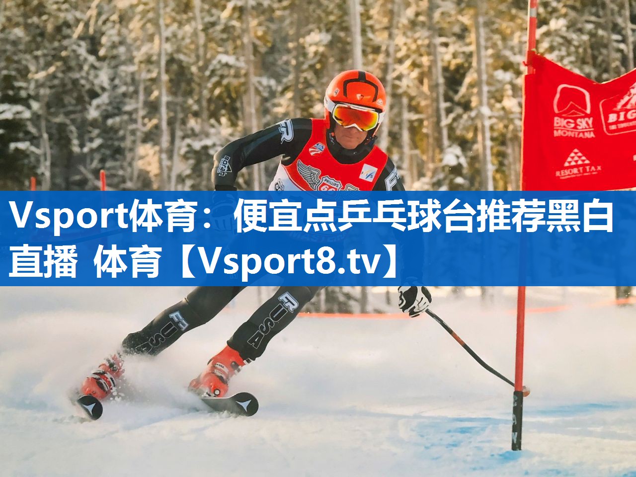 Vsport体育：便宜点乒乓球台推荐黑白直播 体育