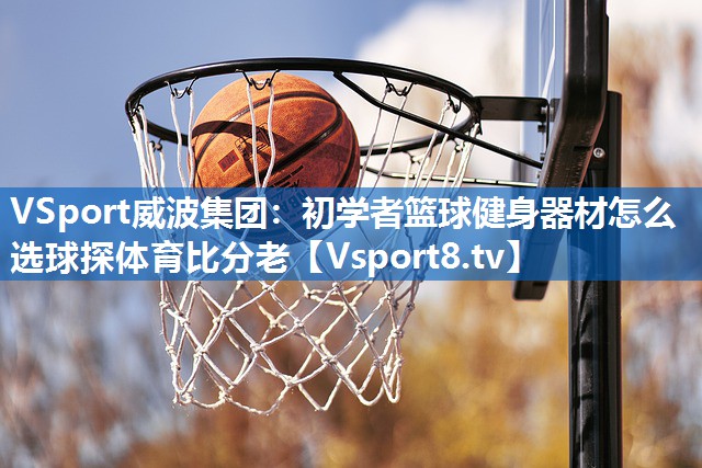 VSport威波集团：初学者篮球健身器材怎么选球探体育比分老