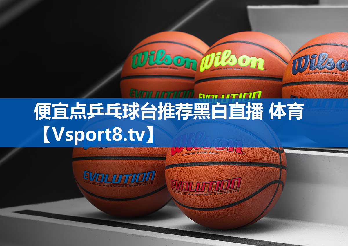 便宜点乒乓球台推荐黑白直播 体育