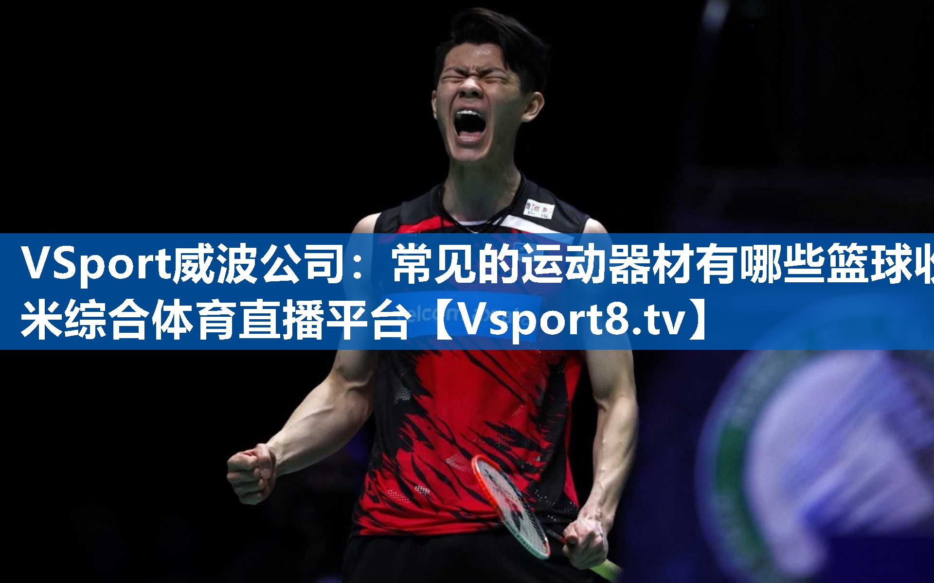 <strong>VSport威波公司：常见的运动器材有哪些篮球收米综合体育直播平台</strong>