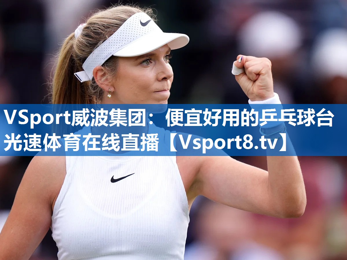 VSport威波集团：便宜好用的乒乓球台光速体育在线直播