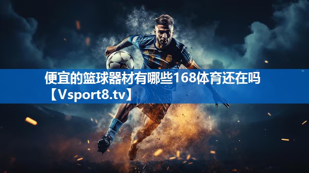 便宜的篮球器材有哪些168体育还在吗