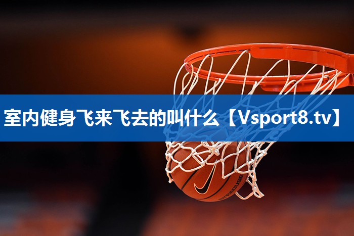 室内健身飞来飞去的叫什么
